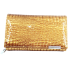 Clipped_image_20250118_132909.png