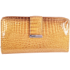 Clipped_image_20250117_183447.png